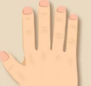 人的手型有几种类型？