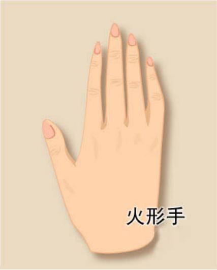 人的手型有几种类型？