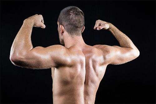 背肌训练方法和动作