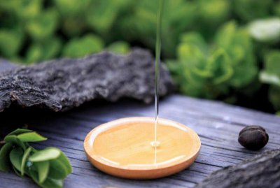 山茶油的功效与作用 山茶油护肤怎么用