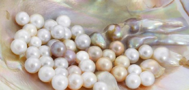河蚌珍珠是怎么形成的