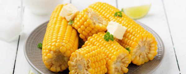 减肥可以吃什么样的玉米