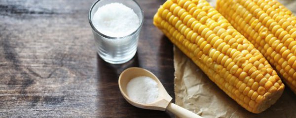 玉米熬粥能减肥吗