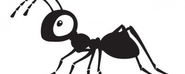 做梦蚂蚁是什么意思