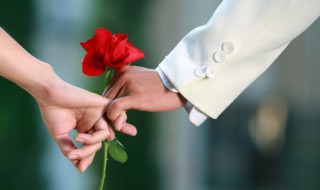 新人结婚适合送什么花束 结婚送什么花