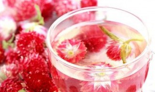 红巧梅和玫瑰花可以一起泡水喝吗 红巧梅和玫瑰花能不能一起泡水喝