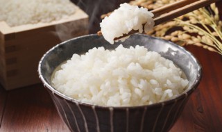 怎么保存米饭才新鲜好吃