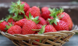 草莓怎么挑甜又大