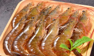 海虾和河虾要怎么区分 海虾和河虾有什么区别呢